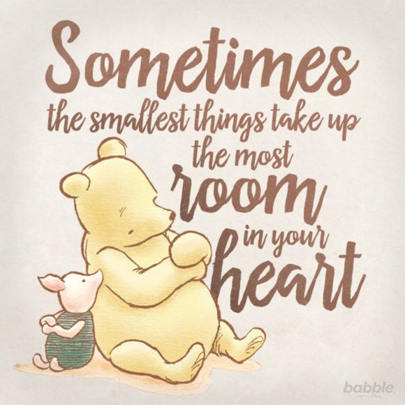 Meet your Posher, Dina - Picture 6 of 14